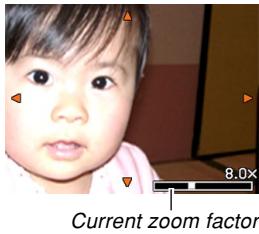 CASIO EX-P600 - Zooming the Display Image - 1