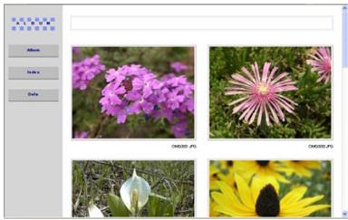 CASIO EX-P600 - Viewing Album Files - 2