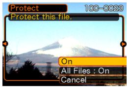 CASIO EX-P600 - To protect a single file - 1