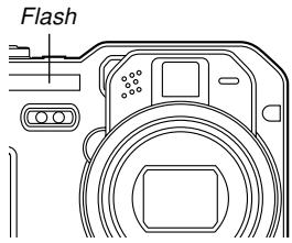 CASIO EX-P600 - Flash Precautions - 1
