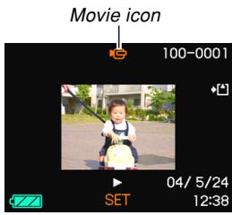 CASIO EX-P600 - Playing a Movie - 1