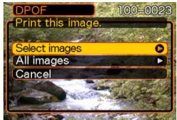 CASIO EX-P600 - To configure print settings for a single image - 1