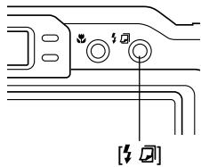 CASIO EX-P600 - Using the Flash - 1
