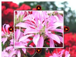 CASIO EX-P600 - Checking the Focus of a Recorded Image - 1