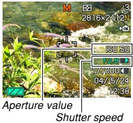 CASIO EX-P600 - Setting Exposure Settings Manually - 1