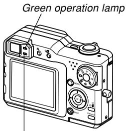 CASIO EX-P600 - Indicator Lamps - 2