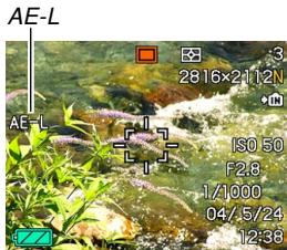 CASIO EX-P600 - Press [AE-L]. - 2