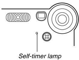 CASIO EX-S3 - Enregistrez l'image. - 1