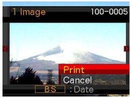 1 Image 100-0005 Print Cancel BS : Date