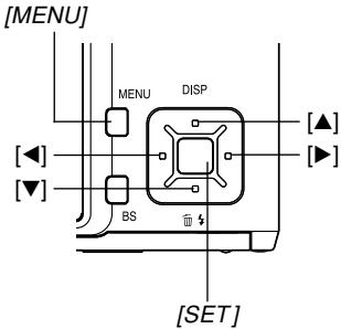 [MENU] MENU DISP [▲] [▼] BS [SET]