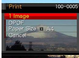 Print 100-0005 1 Image DPOF Paper Size > A4 Cancel