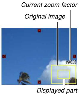 Current zoom factor Original image ×2.0 Displayed part