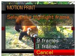 MOTION PRINT Select the highlight frame. 9 frames 1 frame Cancel