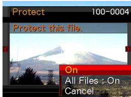 Protect 100-0004 Protect this file. On All Files : On Cancel