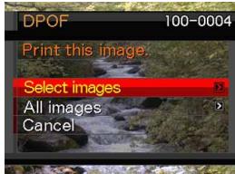 DPOF 100-0004 Print this image. Select images All images Cancel