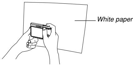 White paper