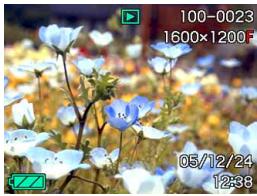 CASIO EXILIM EX-S500 - Changing the Contents of the Monitor Screen - 5