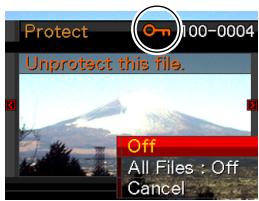 Protect Unprotect this file. Off All Files : Off Cancel