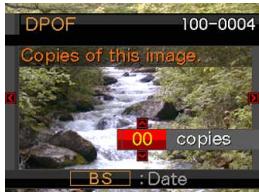 DPOF 100-0004 Copies of this image. 00 copies BS : Date