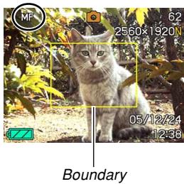 MF 25.60x1920 62 05/12/24 1:38 Boundary