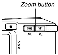 Zoom button x Q