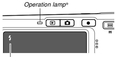 Operation lamp*