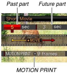 Past part Future part Short Movie 5 sec 3 sec MOVIE MOTION PRINT 9 frames MOTION PRINT