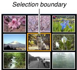 Selection boundary