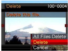 Delete 100-0004 Delete this file. All Files Delete Delete Cancel