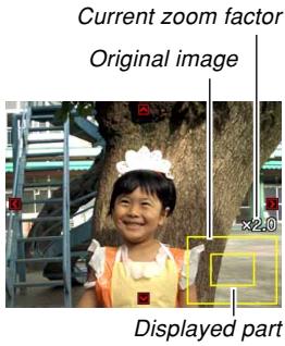 Current zoom factor Original image ×2.0 Displayed part