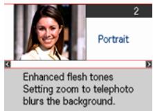 CASIO EXILIM EX-FC100 - ■ Using the Scene Information Screen - 1