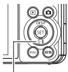 CASIO EXILIM EX-FC100 - Using Flash (Flash) - 1