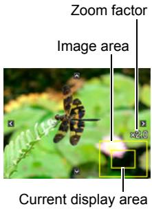 CASIO EXILIM EX-FC100 - Zooming an On-screen Image - 1