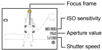 CASIO EXILIM EX-FC100 - Half-press the shutter button to focus the image. - 2