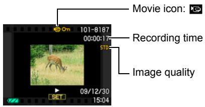 CASIO EXILIM EX-FC100 - Viewing a Movie - 1