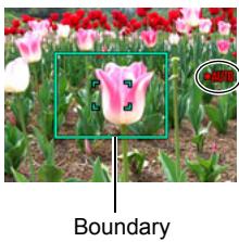 CASIO EXILIM EX-FC100 - When the boundary on the monitor screen turns green, press the shutter button the rest of the way down. - 1