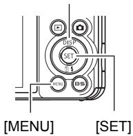 CASIO EXILIM EX-FC100 - ■ Example Menu Screen Operation - 2