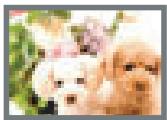 CASIO EXILIM EX-Z100 - Image Size Selection Tips - 2
