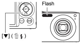 CASIO EXILIM EX-Z100 - Using Flash (Flash) - 1