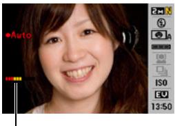 CASIO EXILIM EX-Z100 - To use Detect Smile to record when a subject is smiling (Detect Smile) - 1