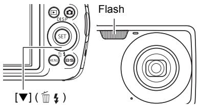 CASIO EXILIM EX-Z2 - Using Flash (Flash) - 1