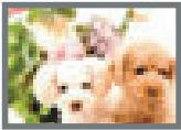 CASIO EXILIM EX-Z2 - Image Size Selection Tips - 2