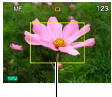 CASIO EXILIM EX-Z2 - To focus with manual focus - 1
