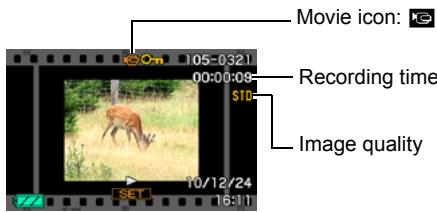 CASIO EXILIM EX-Z2 - Viewing a Movie - 1