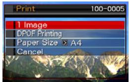 CASIO EXILIM EX-Z20 - ■ To print - 1