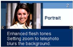 CASIO EXILIM EX-Z20 - ■ Using Scene Information Screen - 1