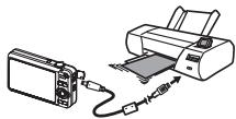 CASIO EXILIM EX-Z20 - Connecting Directly to a PictBridge Compatible Printer - 1