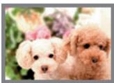 CASIO EXILIM EX-Z20 - Image Size Selection Tips - 1