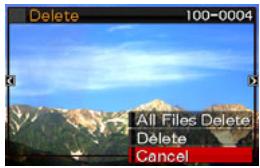 CASIO EXILIM EX-Z20 - To delete a single file - 1