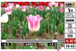 CASIO EXILIM EX-Z200 - Correcting Image Brightness (EV Shift) - 2